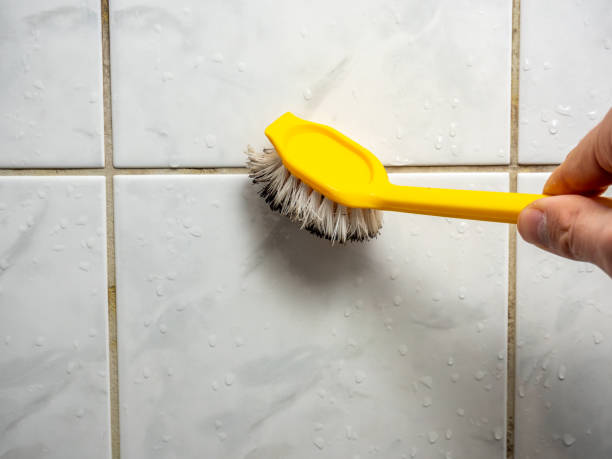 Best Professional Mold Removal  in Jones Valley, CA