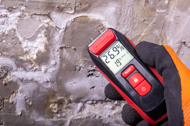 Best Home Mold Removal  in Jones Valley, CA
