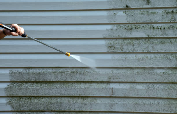 Best Mold Removal Process  in Jones Valley, CA