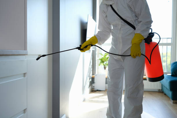 Best Home Mold Removal  in Jones Valley, CA