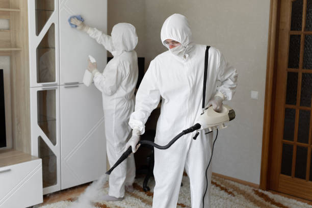 Best Mold Damage Repair  in Jones Valley, CA
