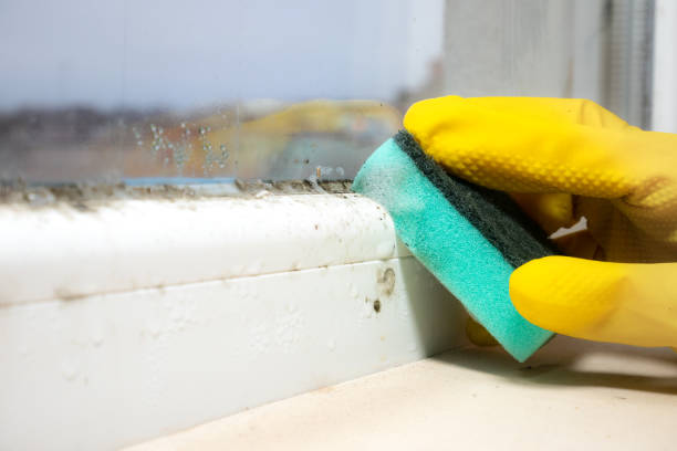 Best Crawl Space Mold Removal  in Jones Valley, CA