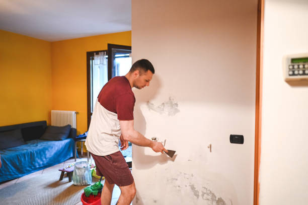 Best Local Mold Removal Service  in Jones Valley, CA